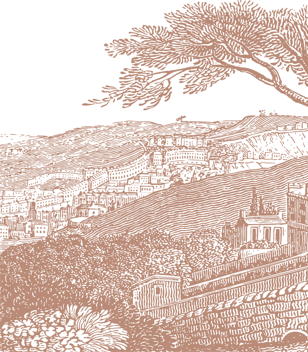 An monocolour illustration of a landscape